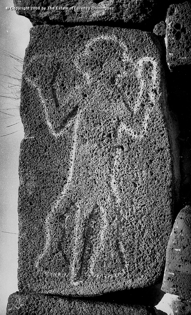 ANA_El_Potente_02.jpg - Easter Island. 1960. Anakena. Petroglyph on an ahu wall called "The potent one."